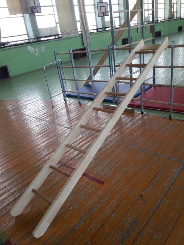 GYMNASTIC LADDER-0 GYMNASTIC LADDER-0