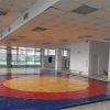 Wrestling area-0