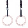 gymnastic rings