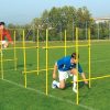 outdoor slalom poles hurdle