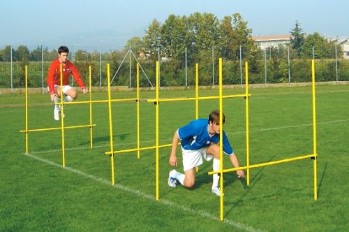 outdoor slalom poles hurdle