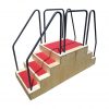 rehabilitation ladder
