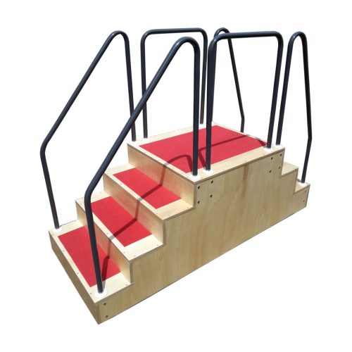 rehabilitation ladder